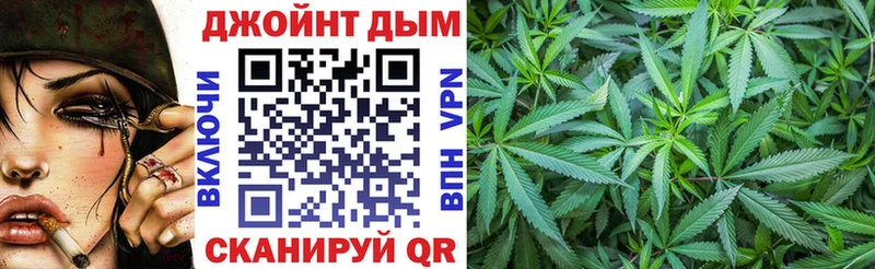 Купить  Нестеровская  Канабис гибрид 